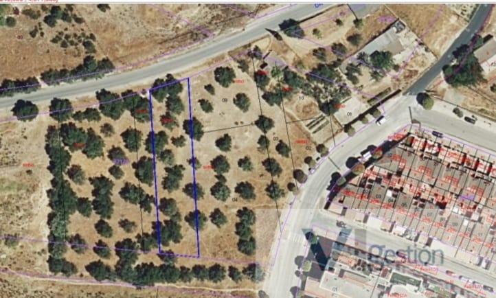 For sale of land in Arcos de la Frontera