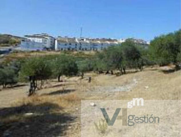 For sale of land in Arcos de la Frontera