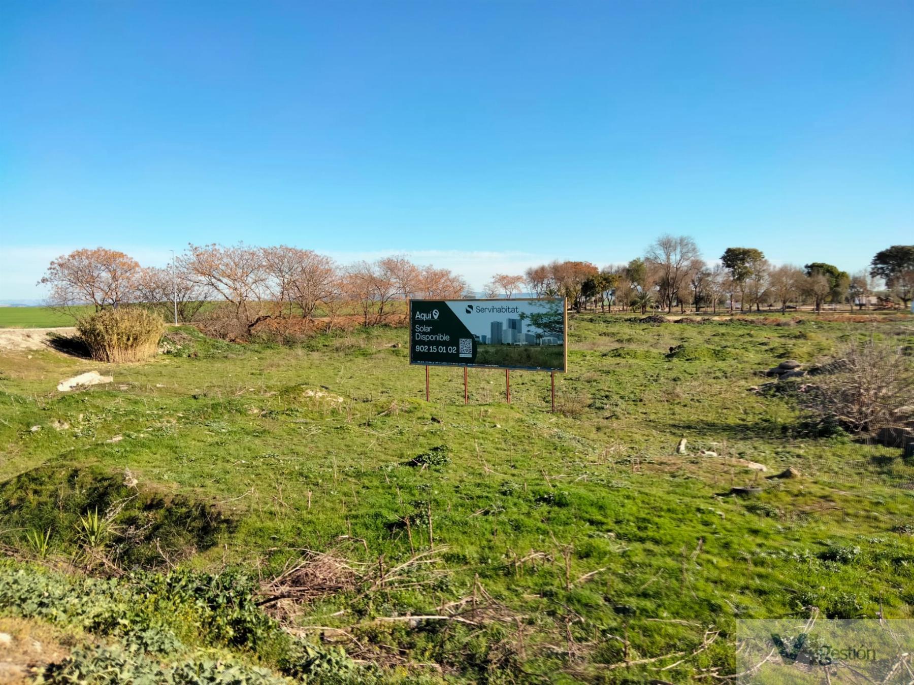 For sale of land in Jédula