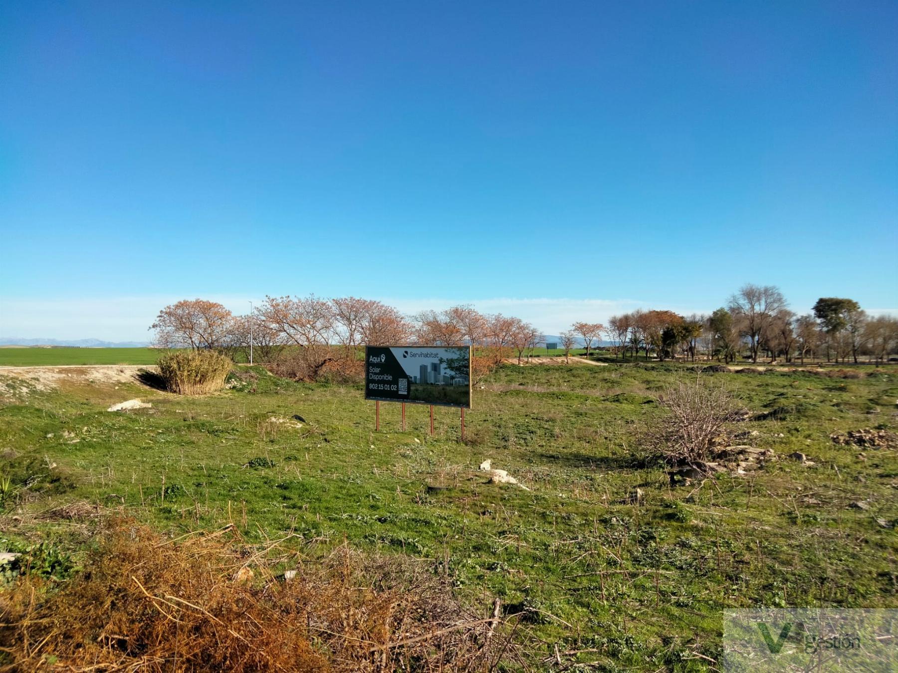 For sale of land in Jédula