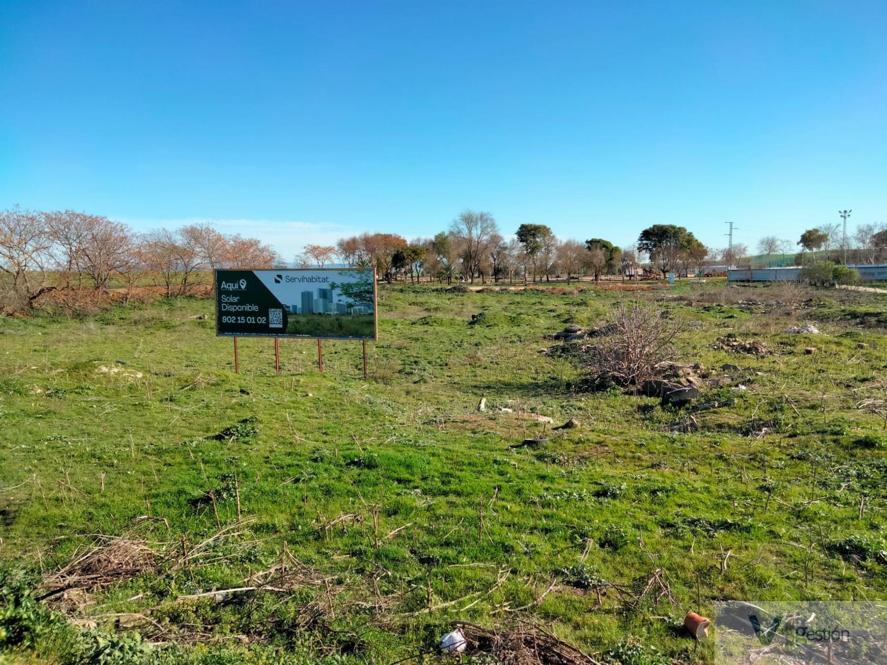 For sale of land in Jédula