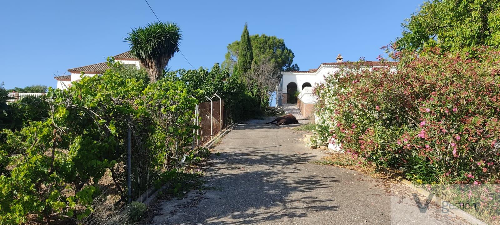 For sale of house in Puerto Serrano