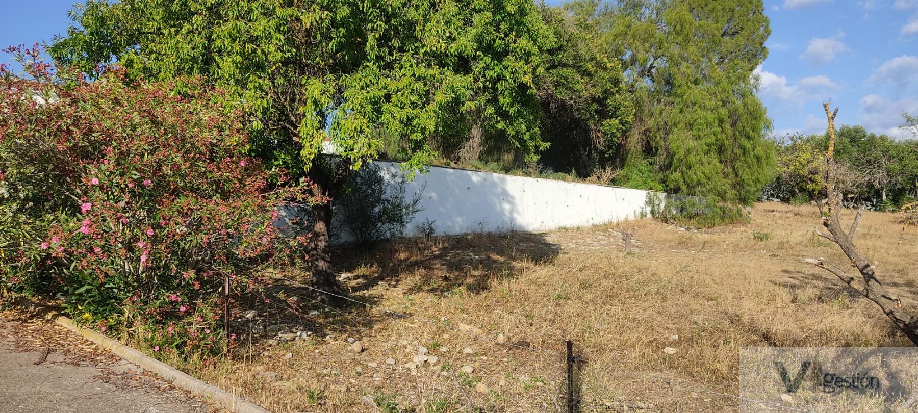 For sale of house in Puerto Serrano