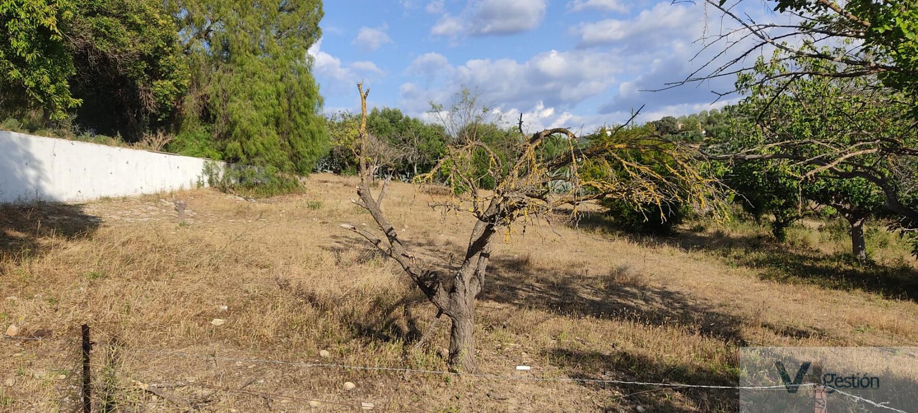 For sale of house in Puerto Serrano
