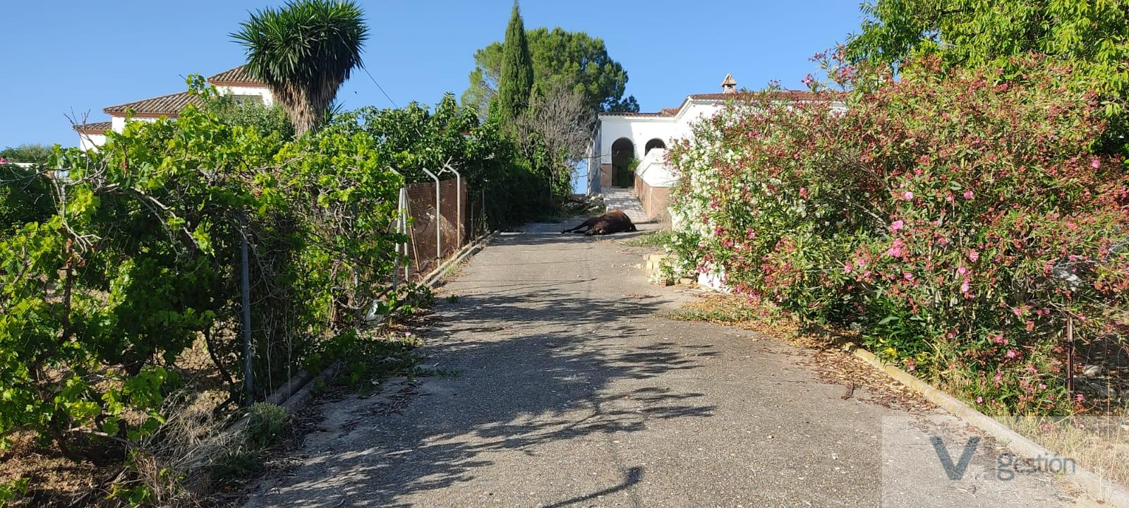 For sale of house in Puerto Serrano