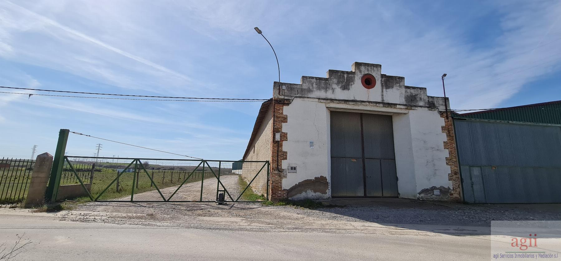 For sale of industrial plant/warehouse in Santas Martas