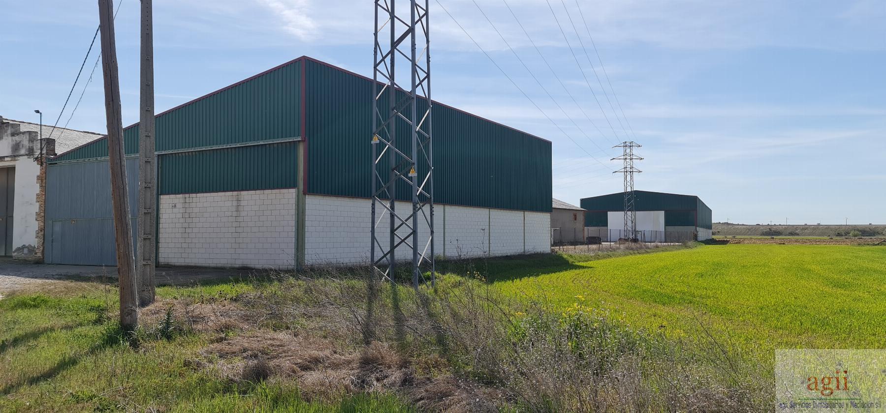 For sale of industrial plant/warehouse in Santas Martas