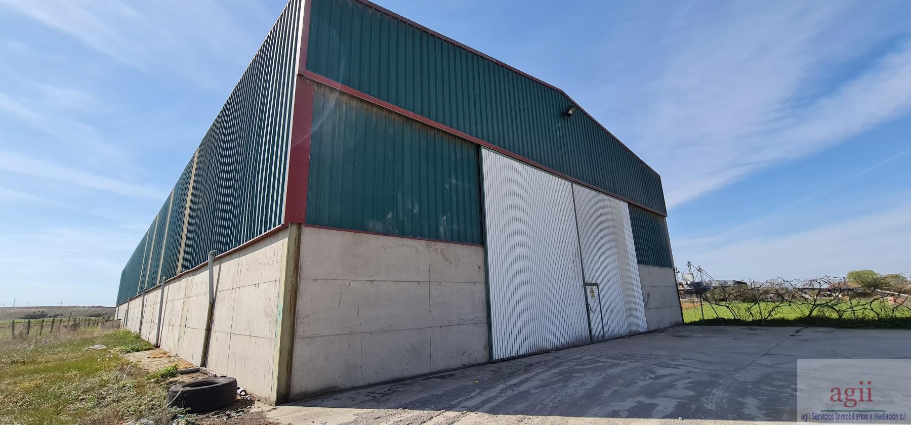 For sale of industrial plant/warehouse in Santas Martas