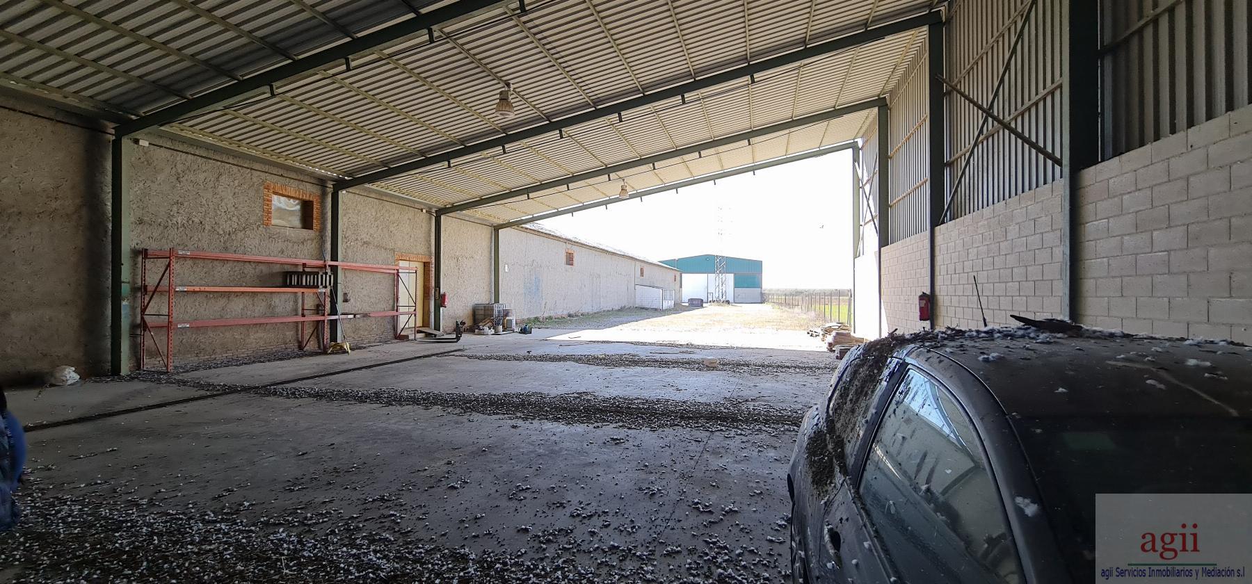 For sale of industrial plant/warehouse in Santas Martas