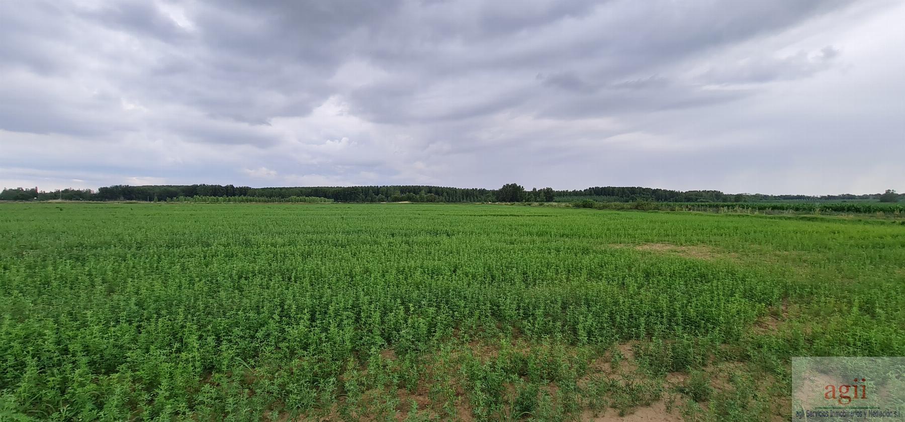 Venta de terreno en Mansilla Mayor