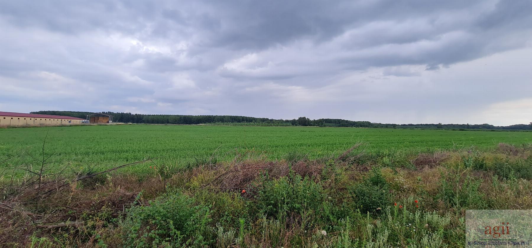 Venta de terreno en Mansilla Mayor