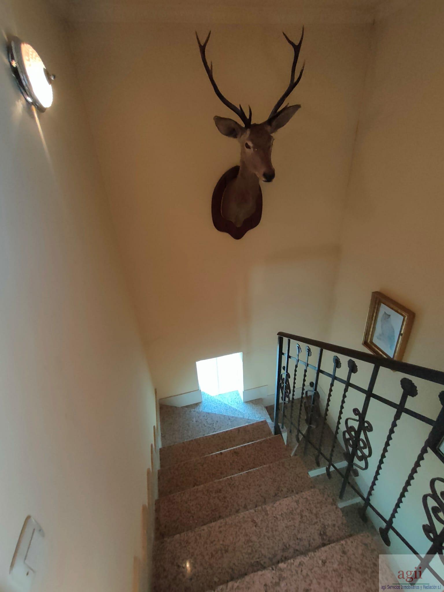 Escalera