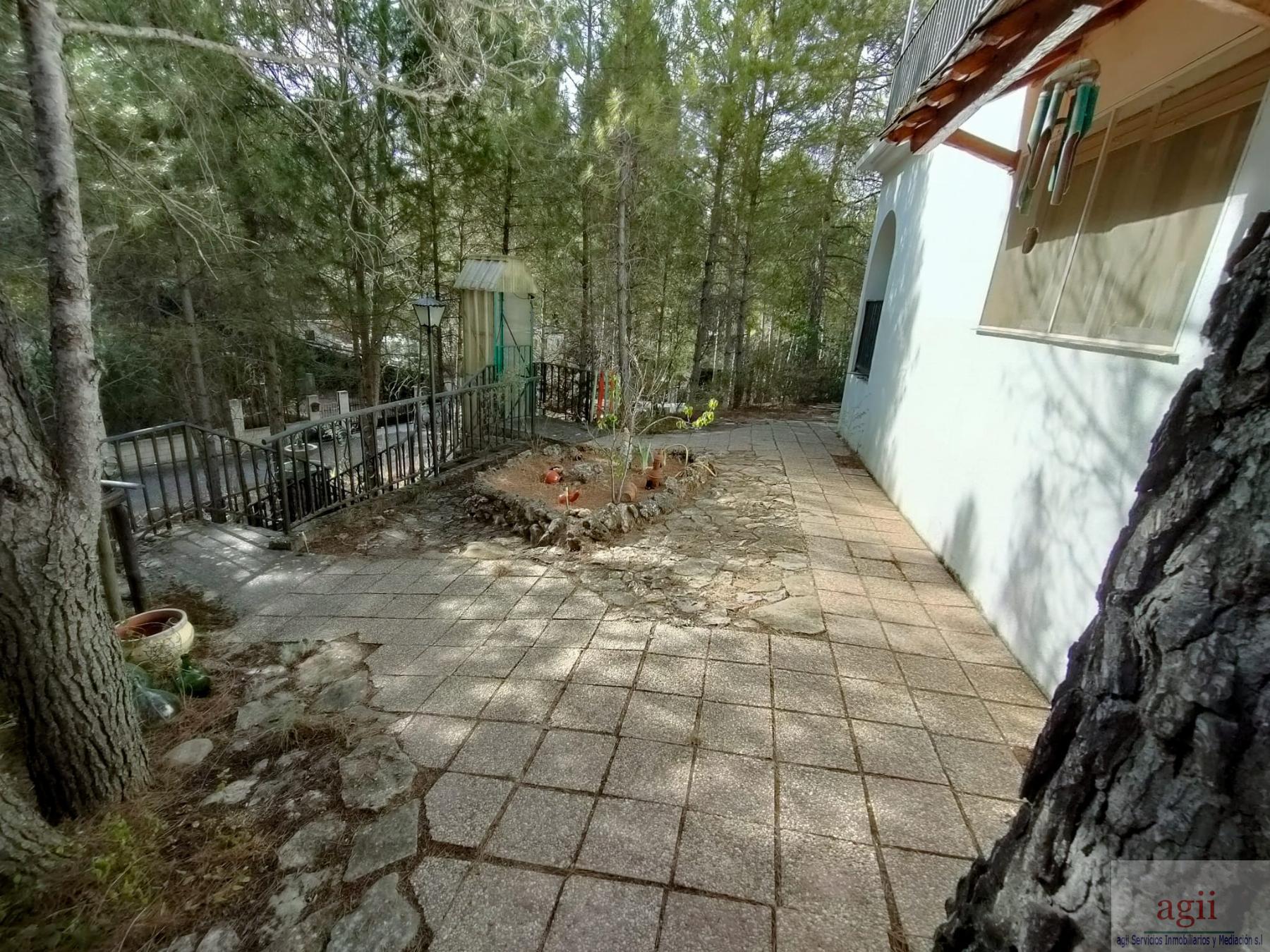 Terreno