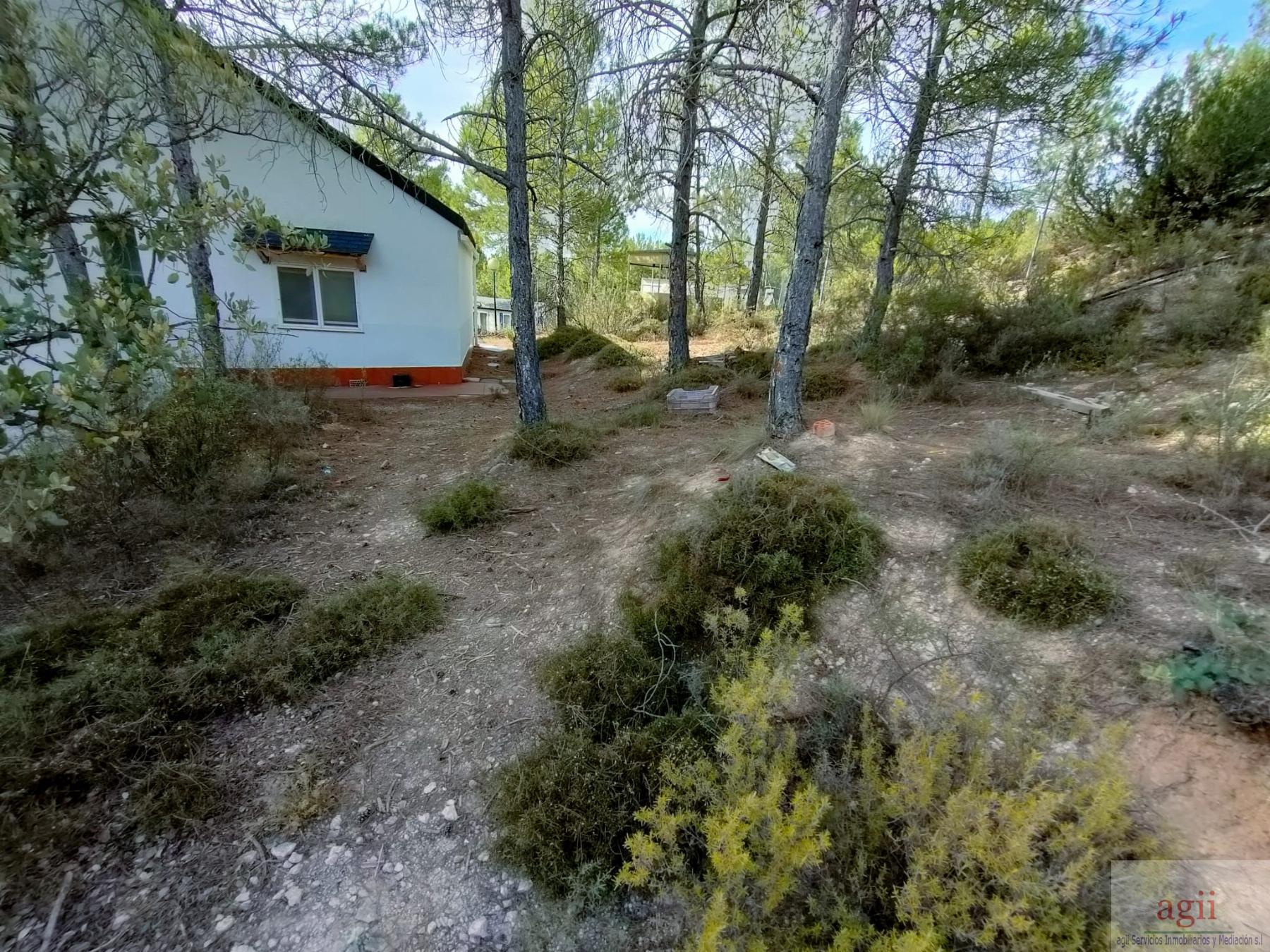 Terreno
