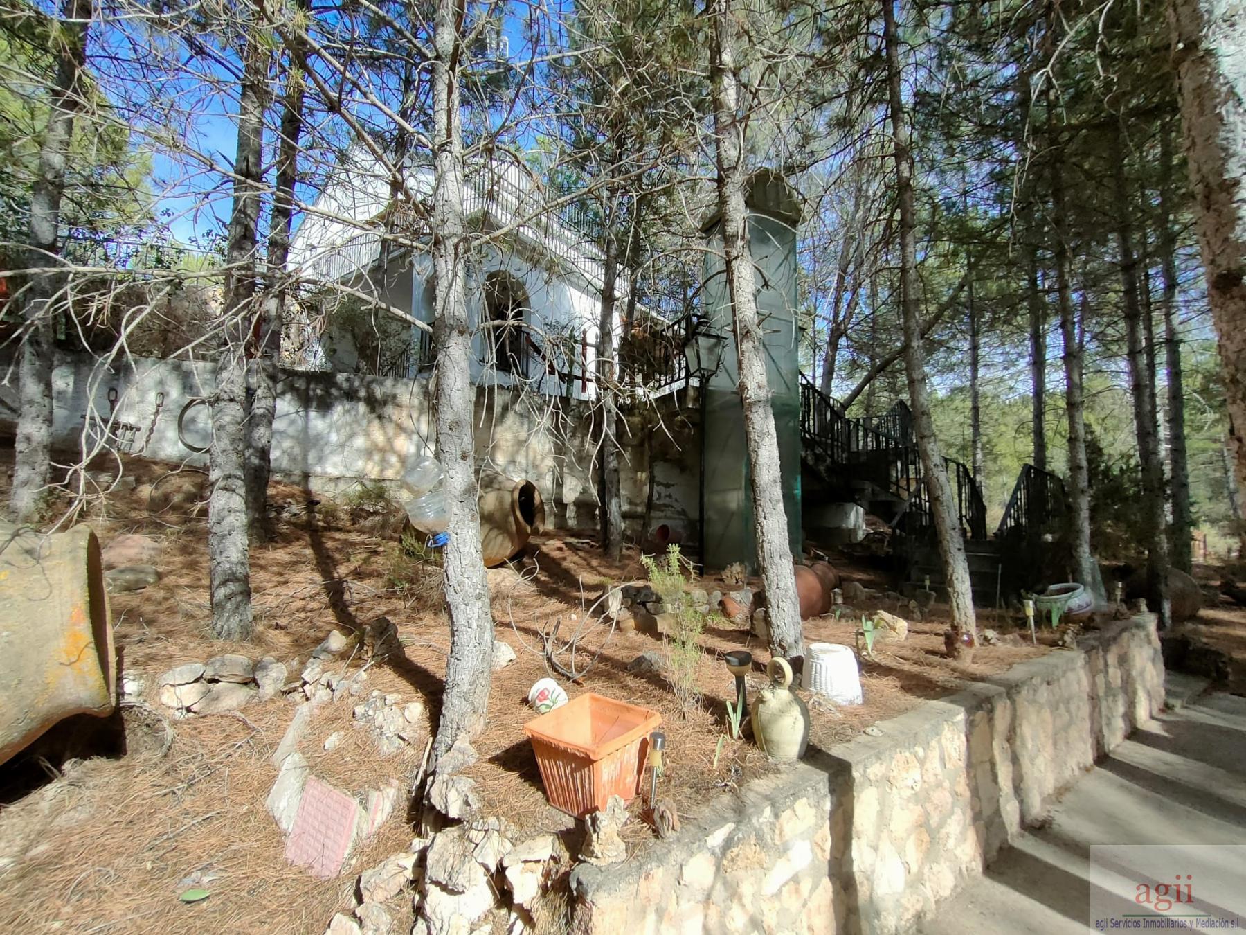 Terreno