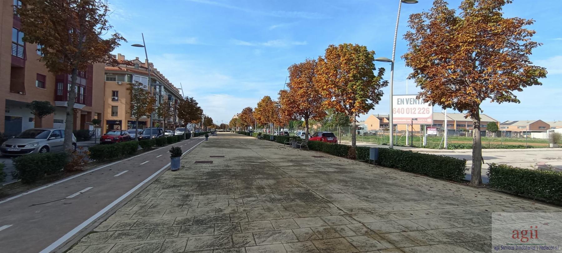 For sale of commercial in Alovera