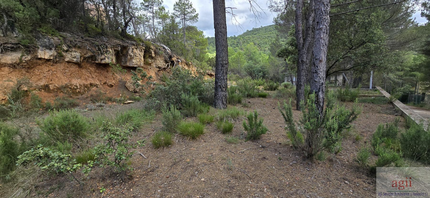 Venta de terreno en Trillo