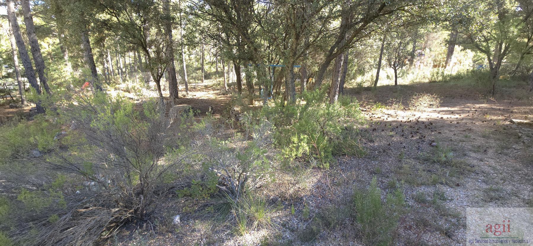 For sale of chalet in Trillo