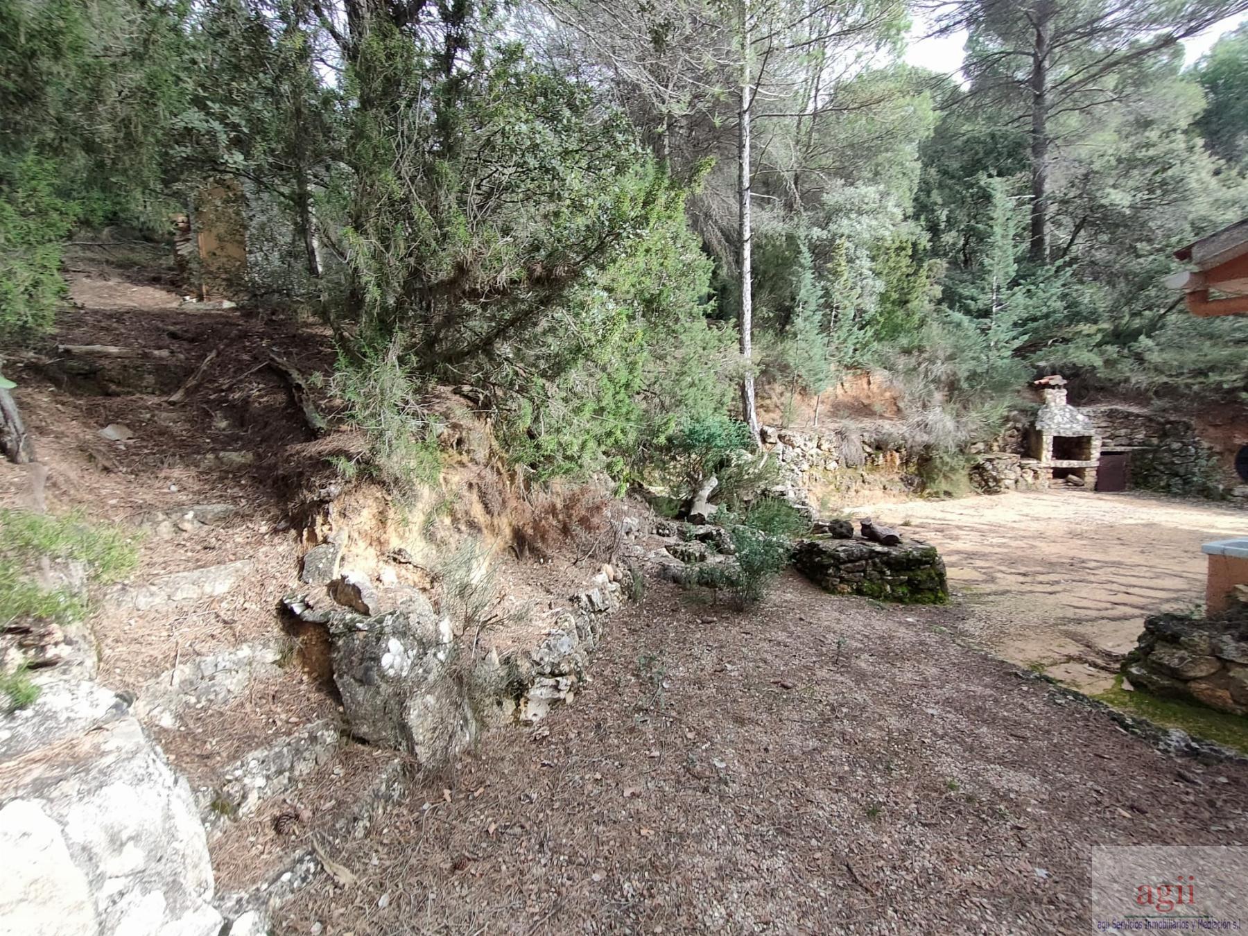 Ground
