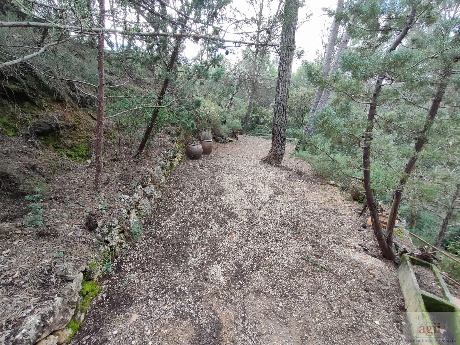 Ground