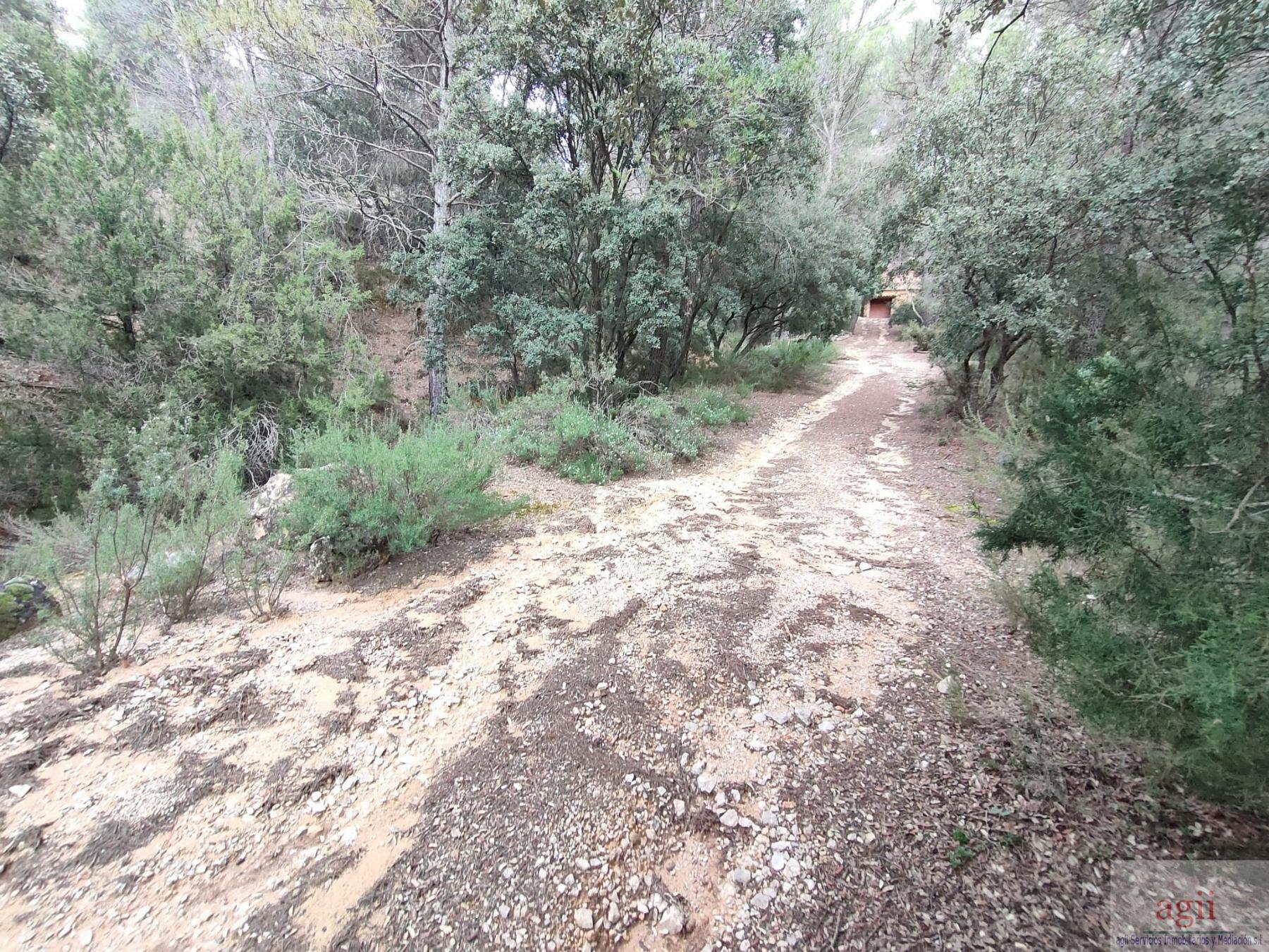 Ground
