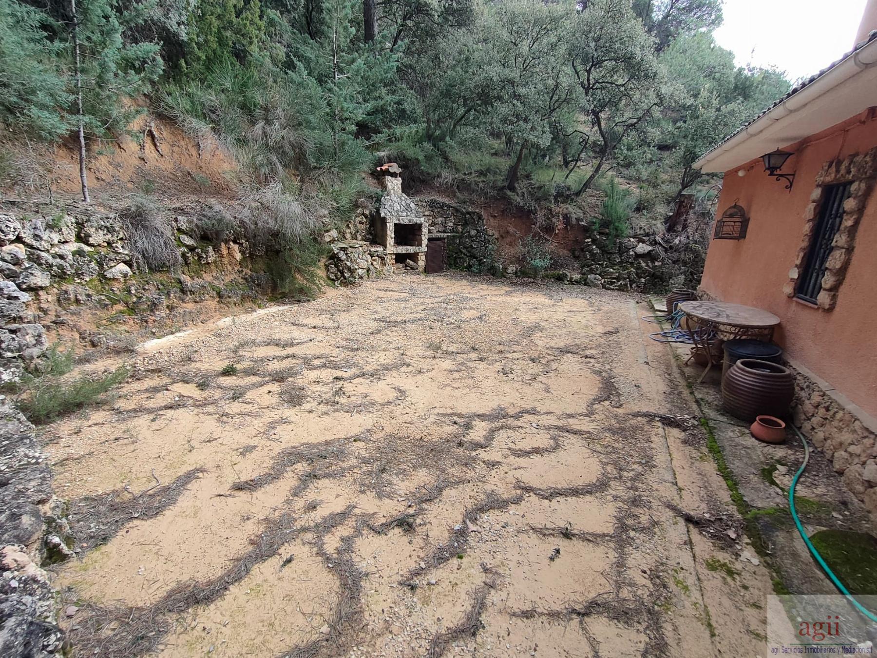Ground