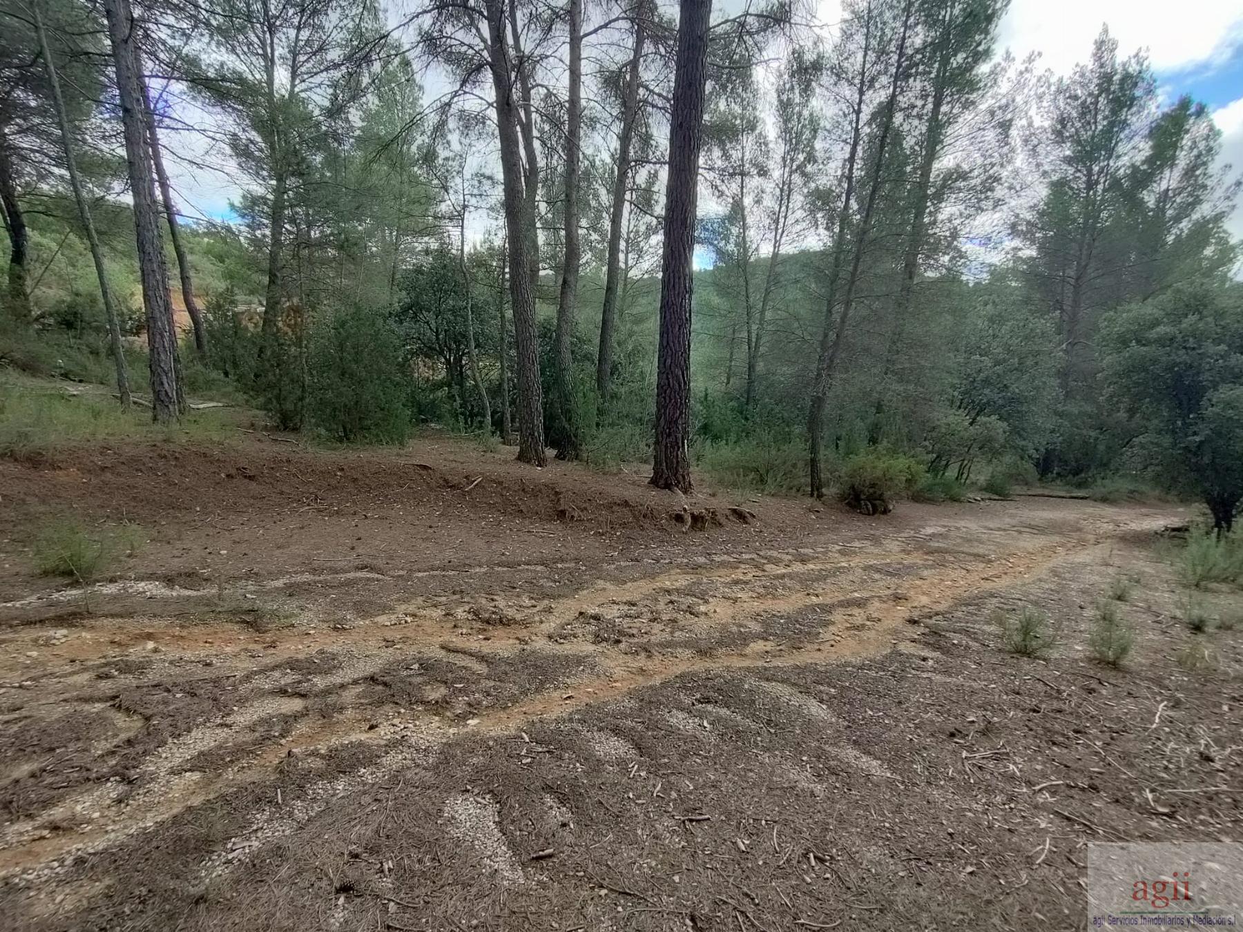 Ground