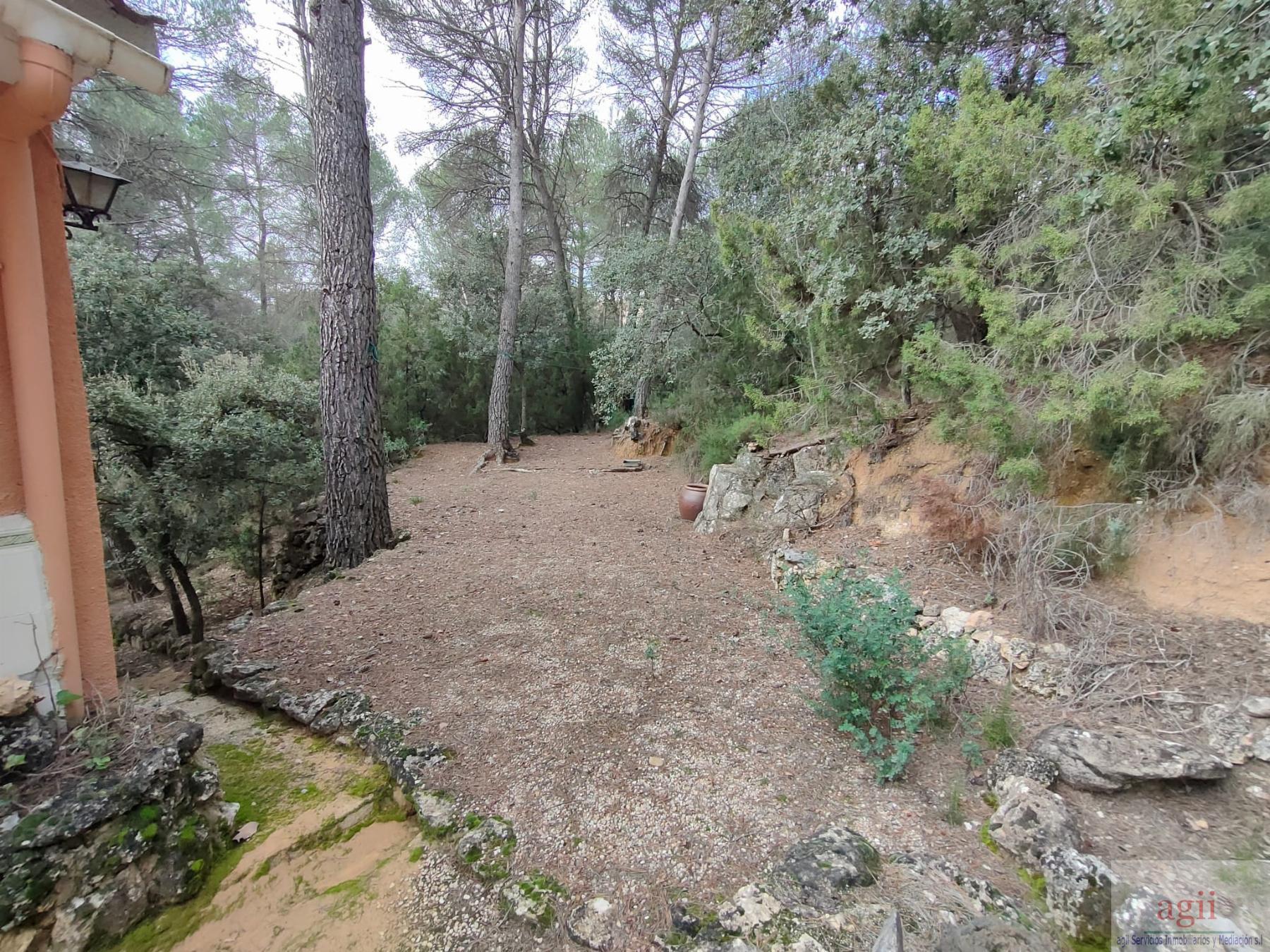 Ground