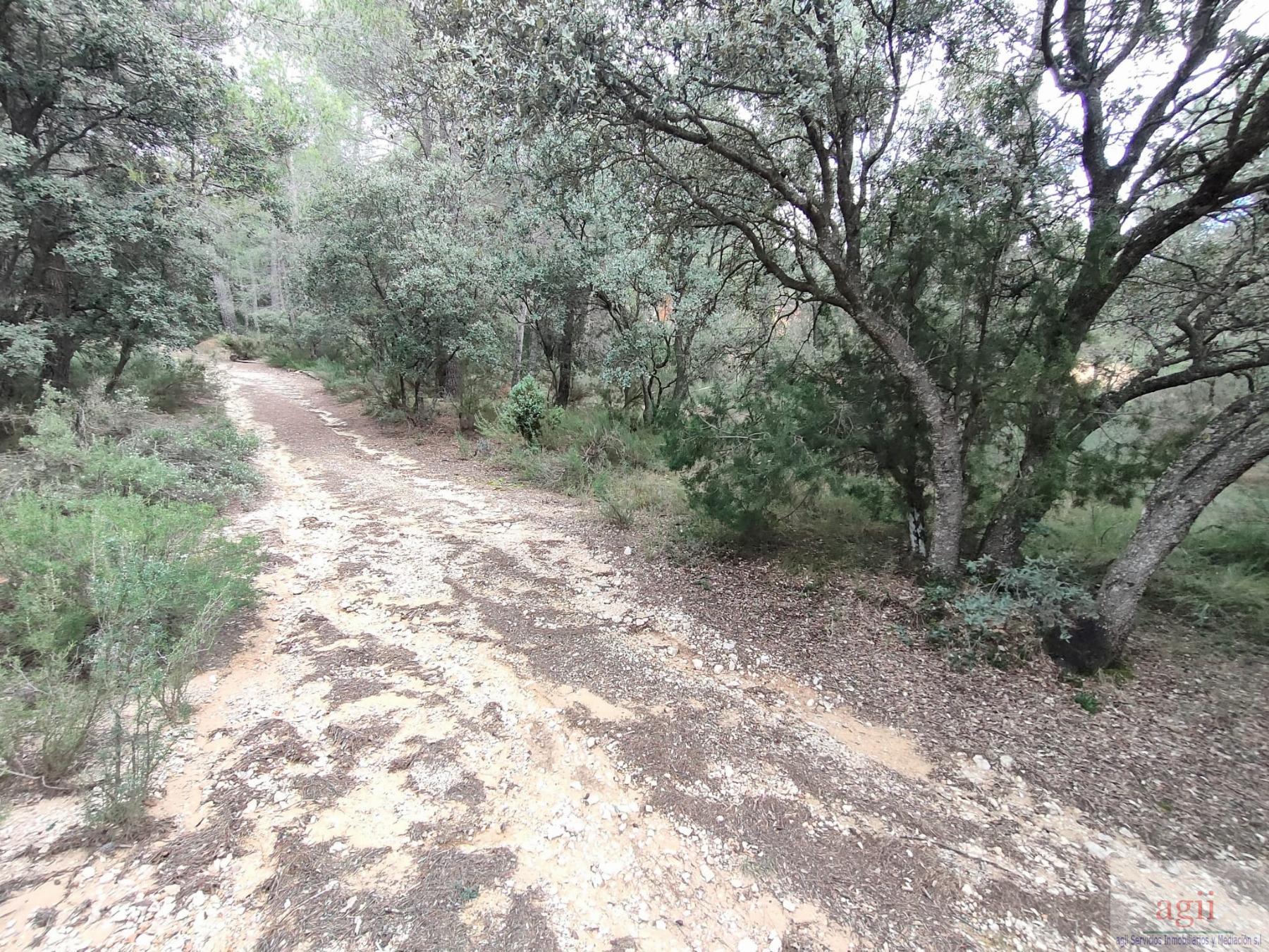 Ground