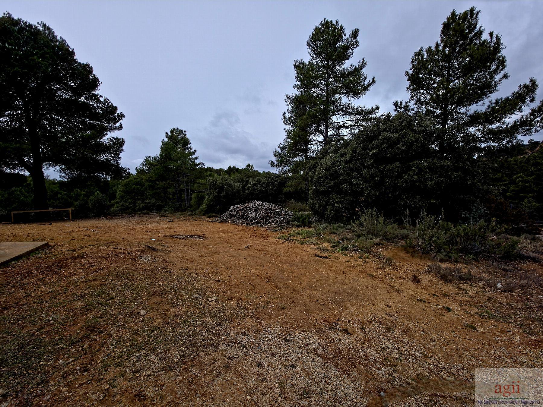 Jardín