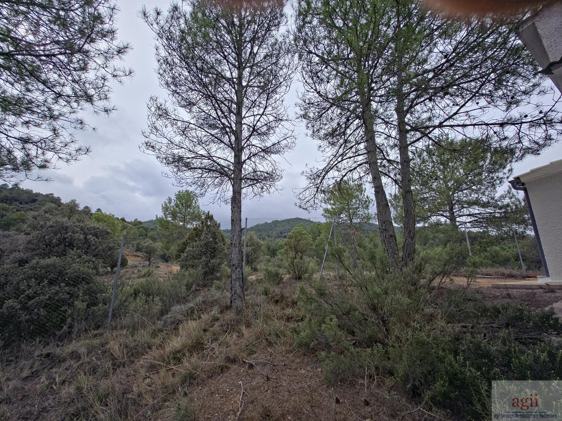 Jardín