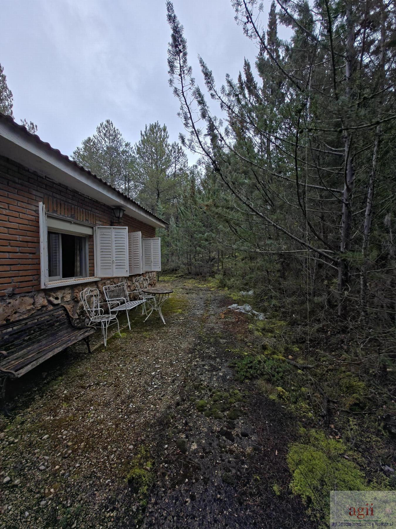 Surroundings