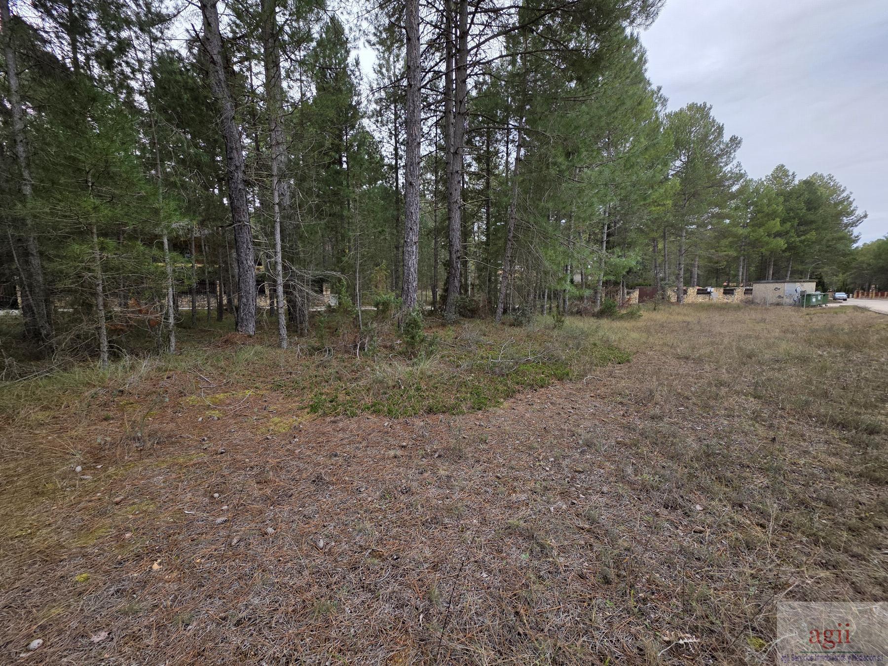 For sale of land in Trillo