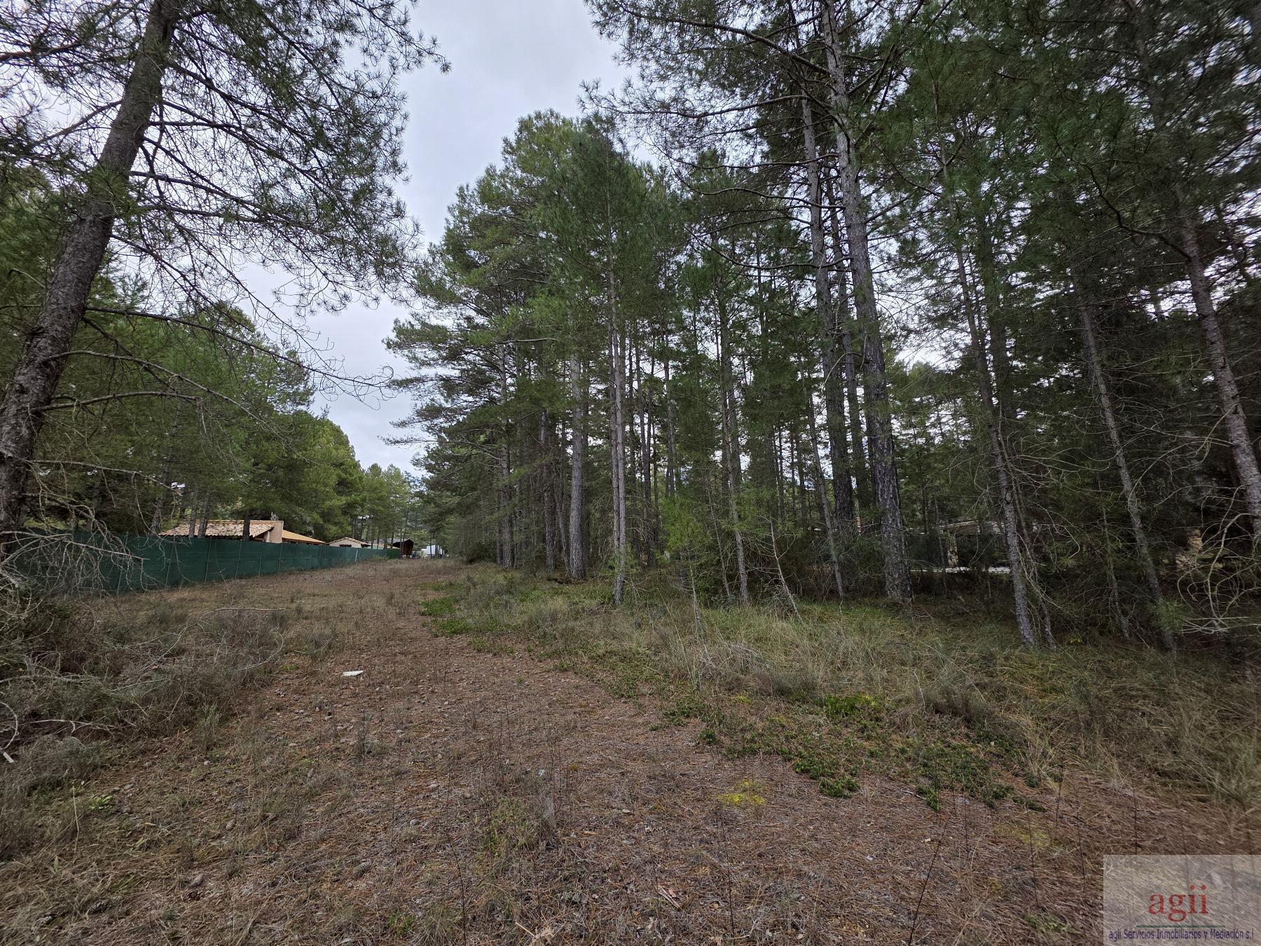 Venta de terreno en Trillo