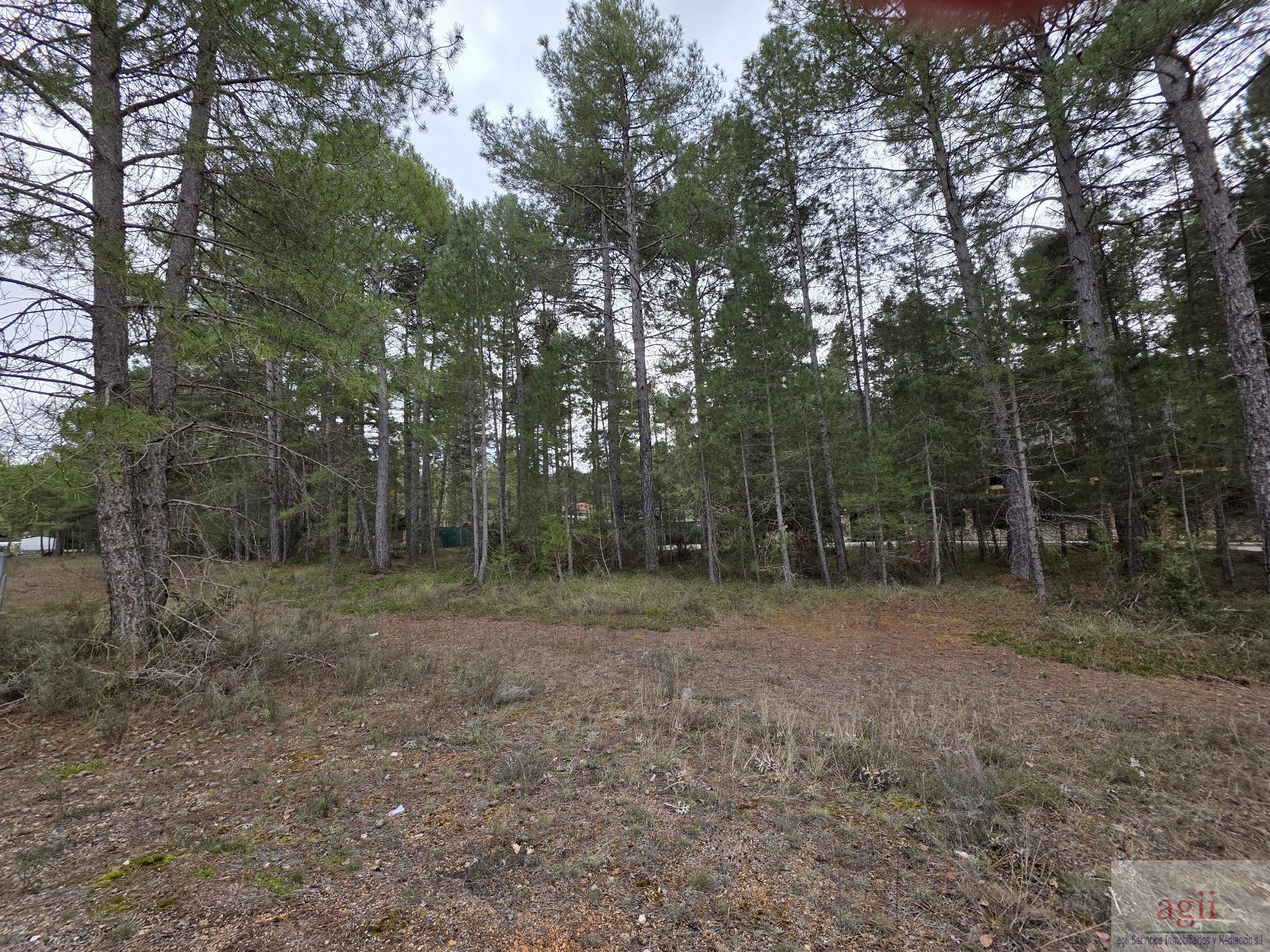 For sale of land in Trillo