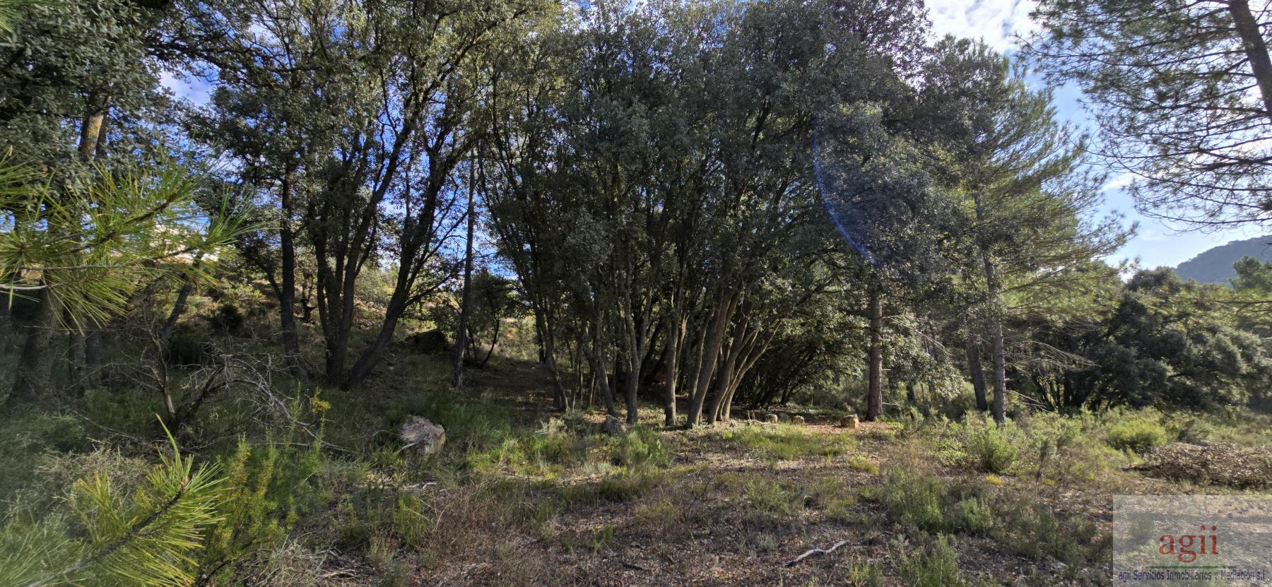 Venta de terreno en Trillo