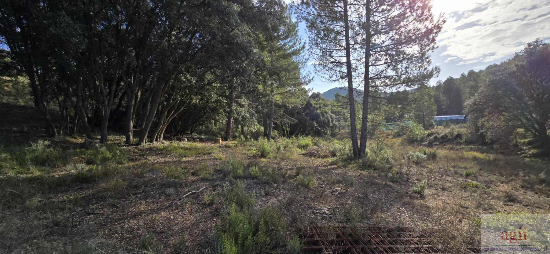 Venta de terreno en Trillo