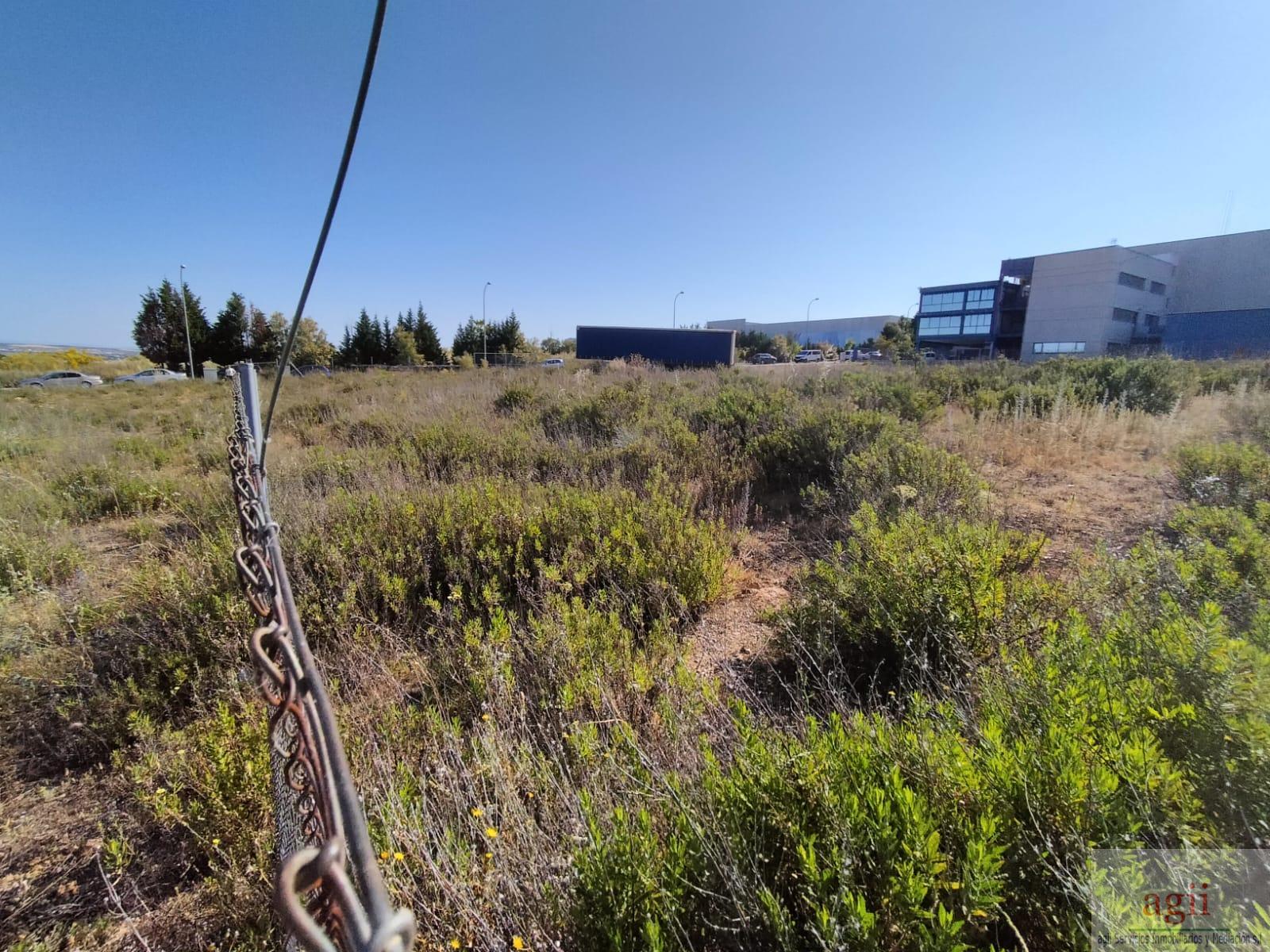For sale of land in Chiloeches