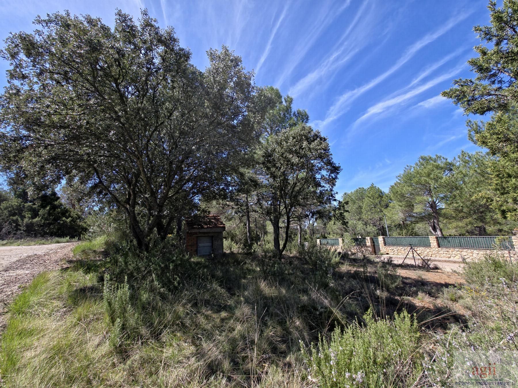 Venta de chalet en Trillo