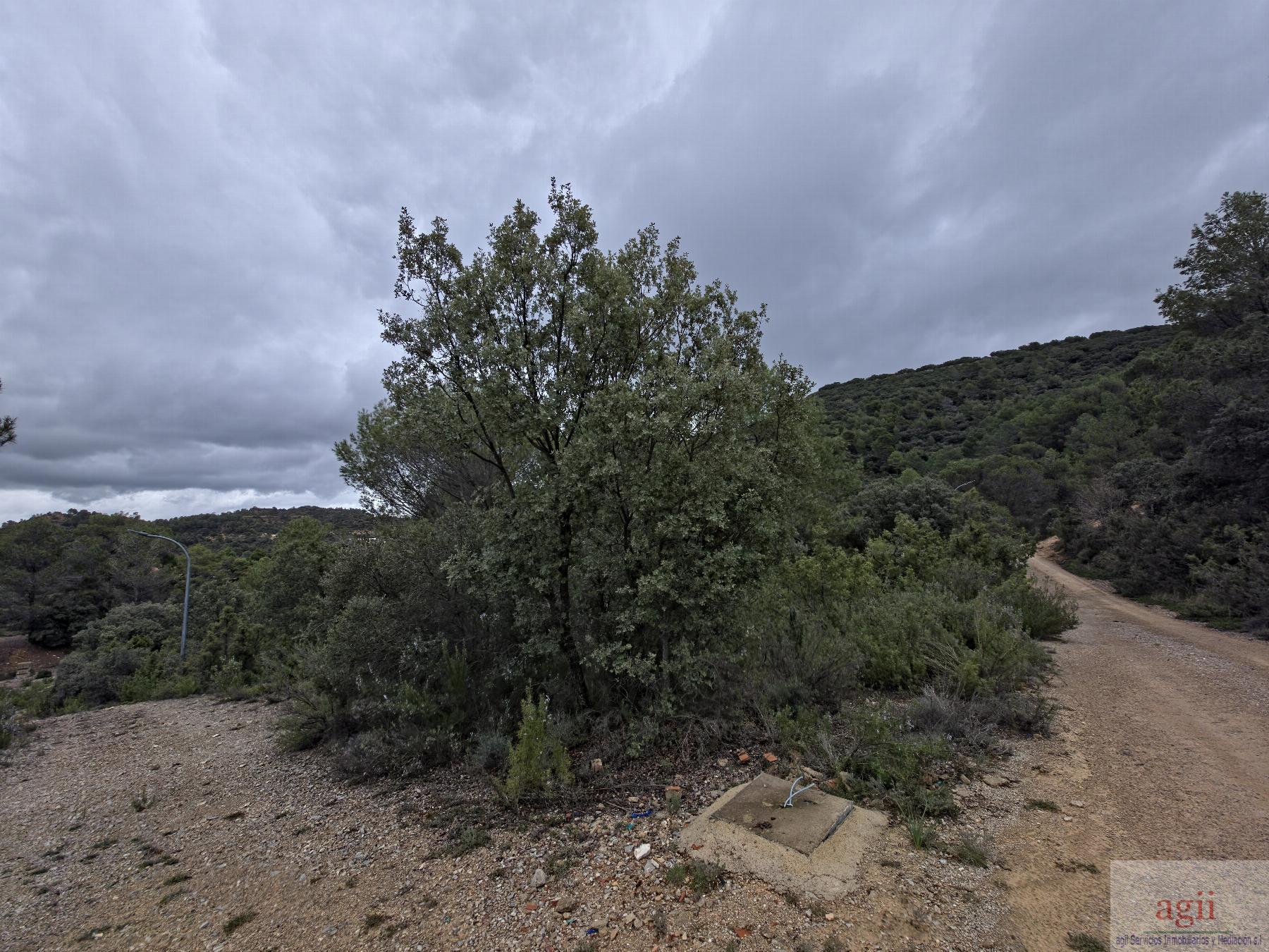 Venta de terreno en Trillo