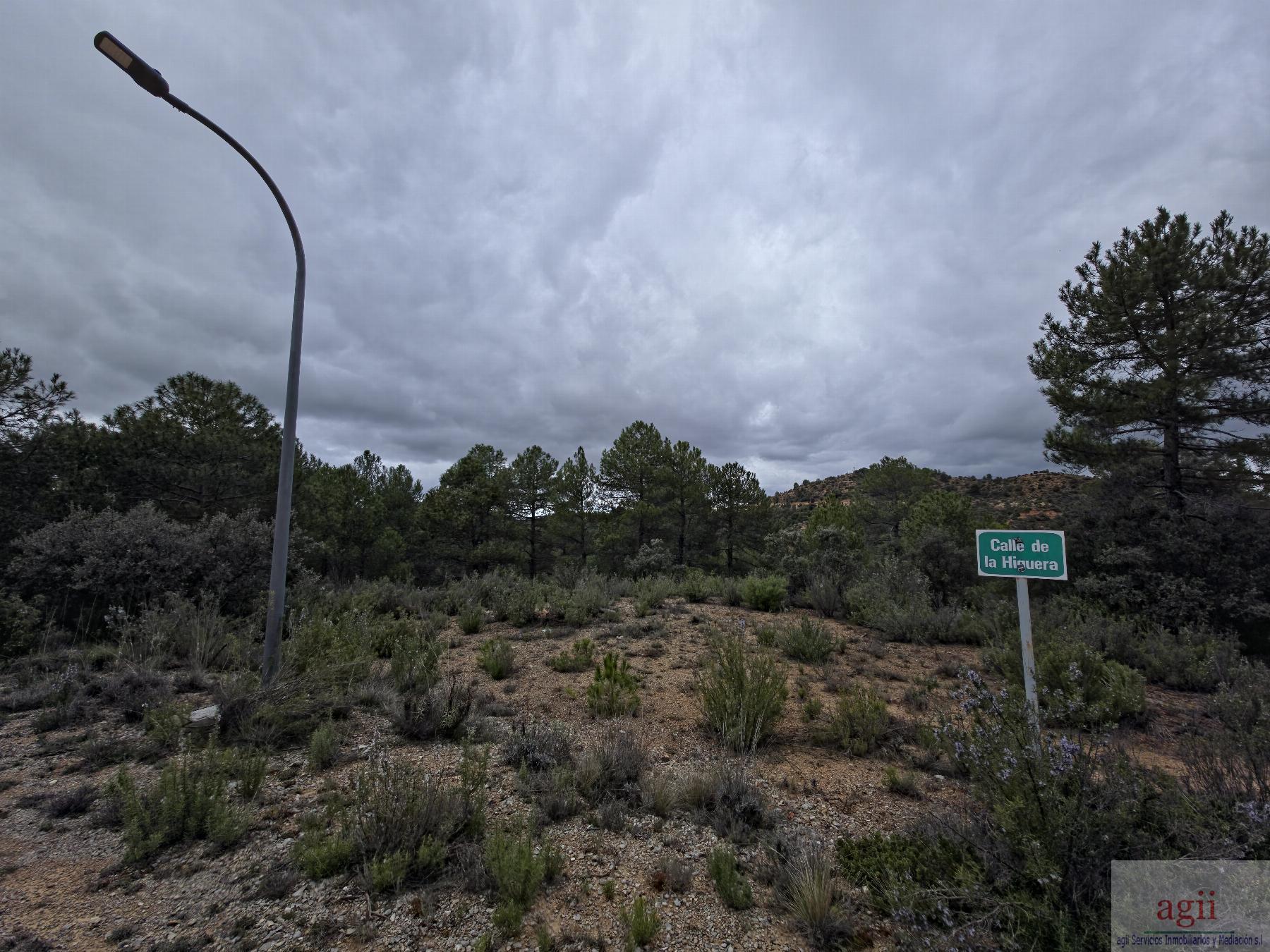 Venta de terreno en Trillo