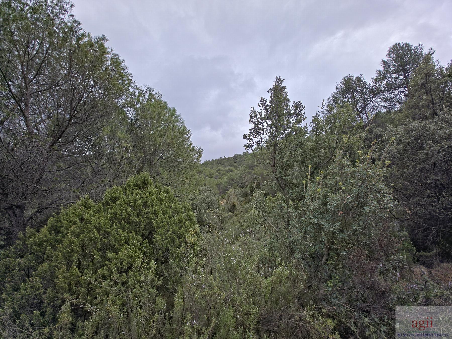 Venta de terreno en Trillo