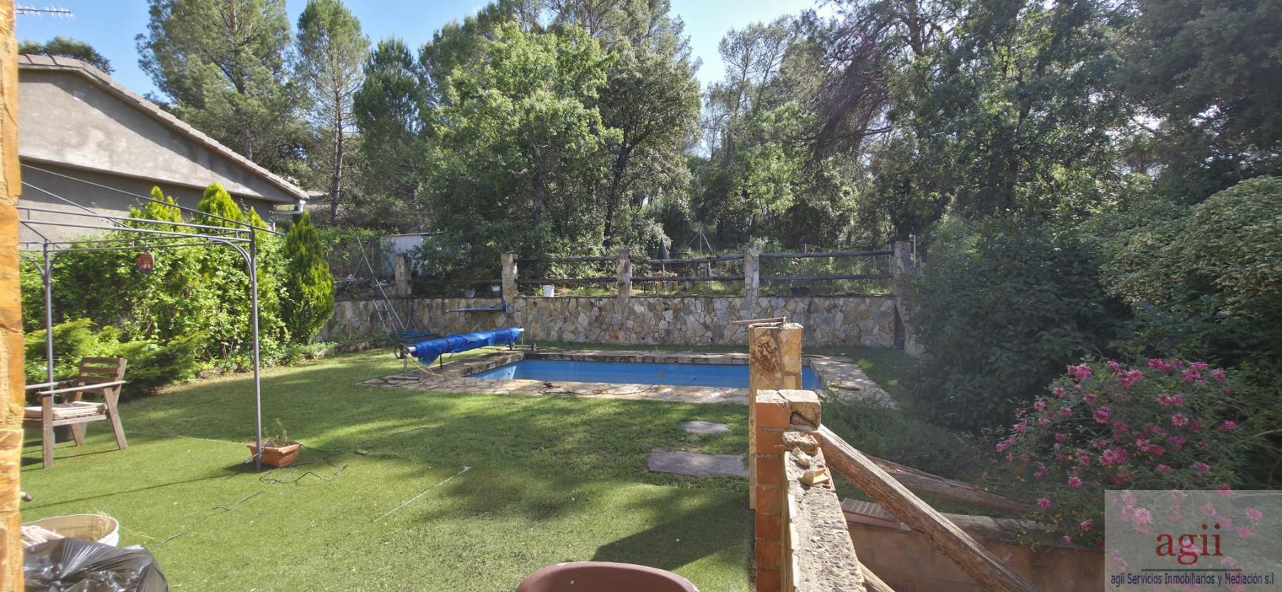 Jardín
