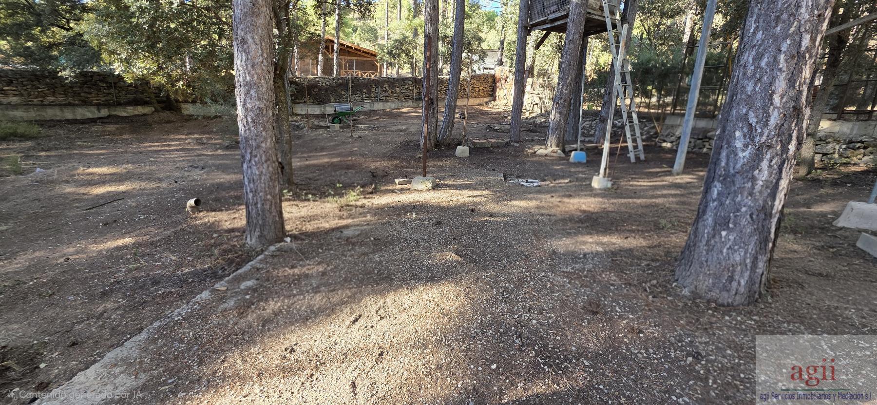 Jardín