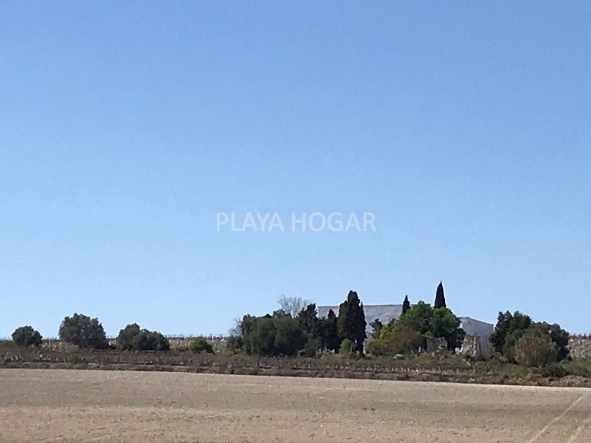 For sale of rural property in Jerez de la Frontera