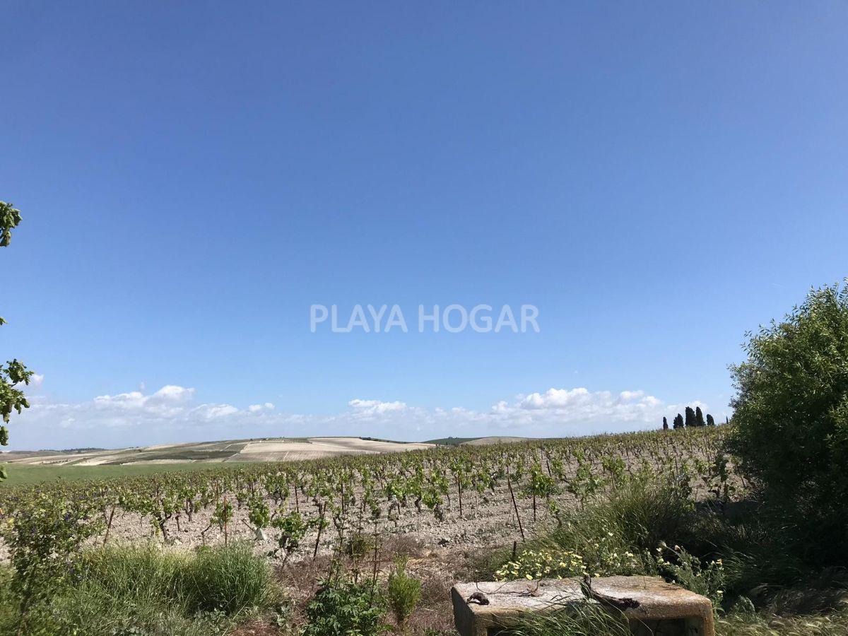 For sale of rural property in Jerez de la Frontera