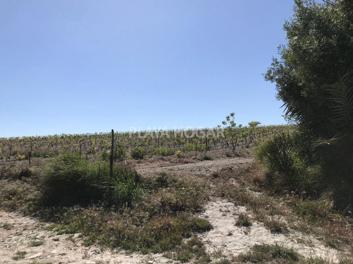 For sale of rural property in Jerez de la Frontera