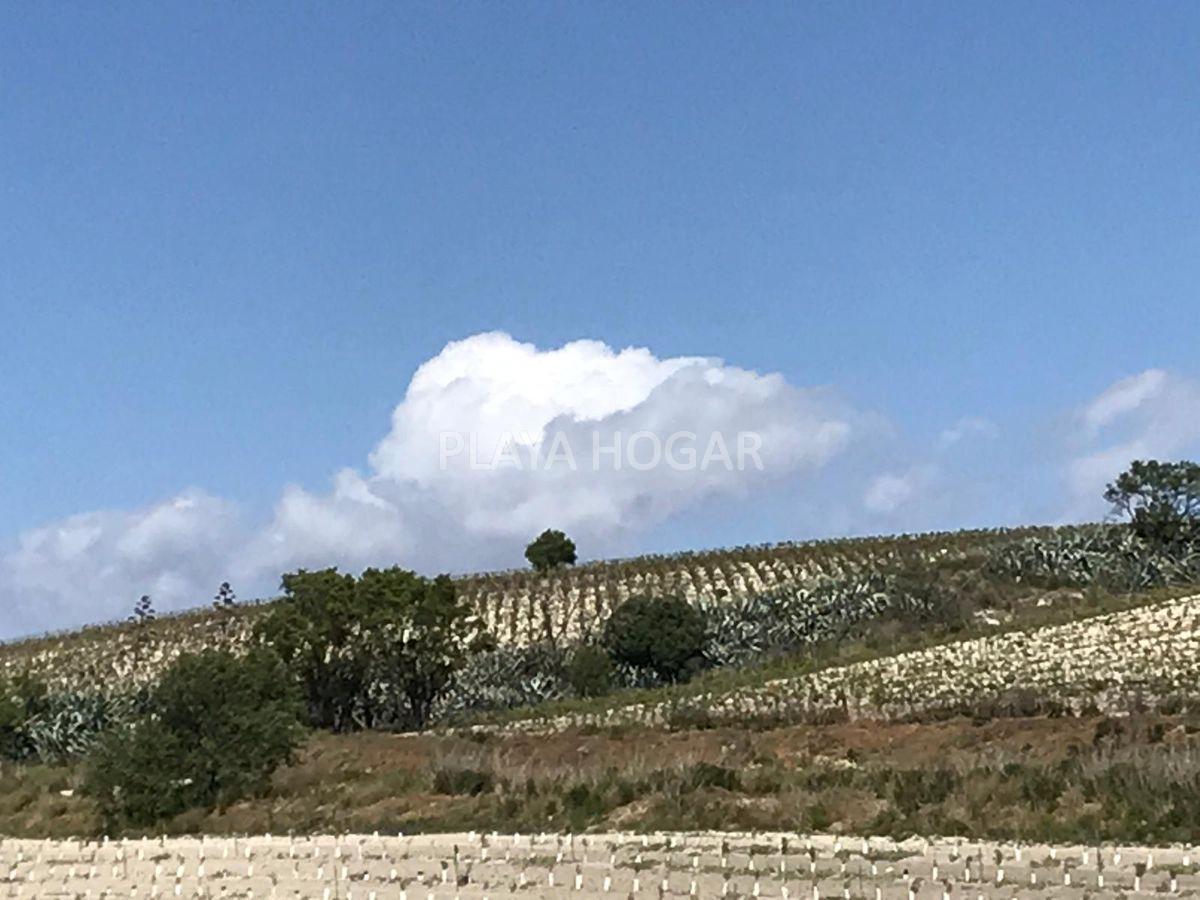 For sale of rural property in Jerez de la Frontera