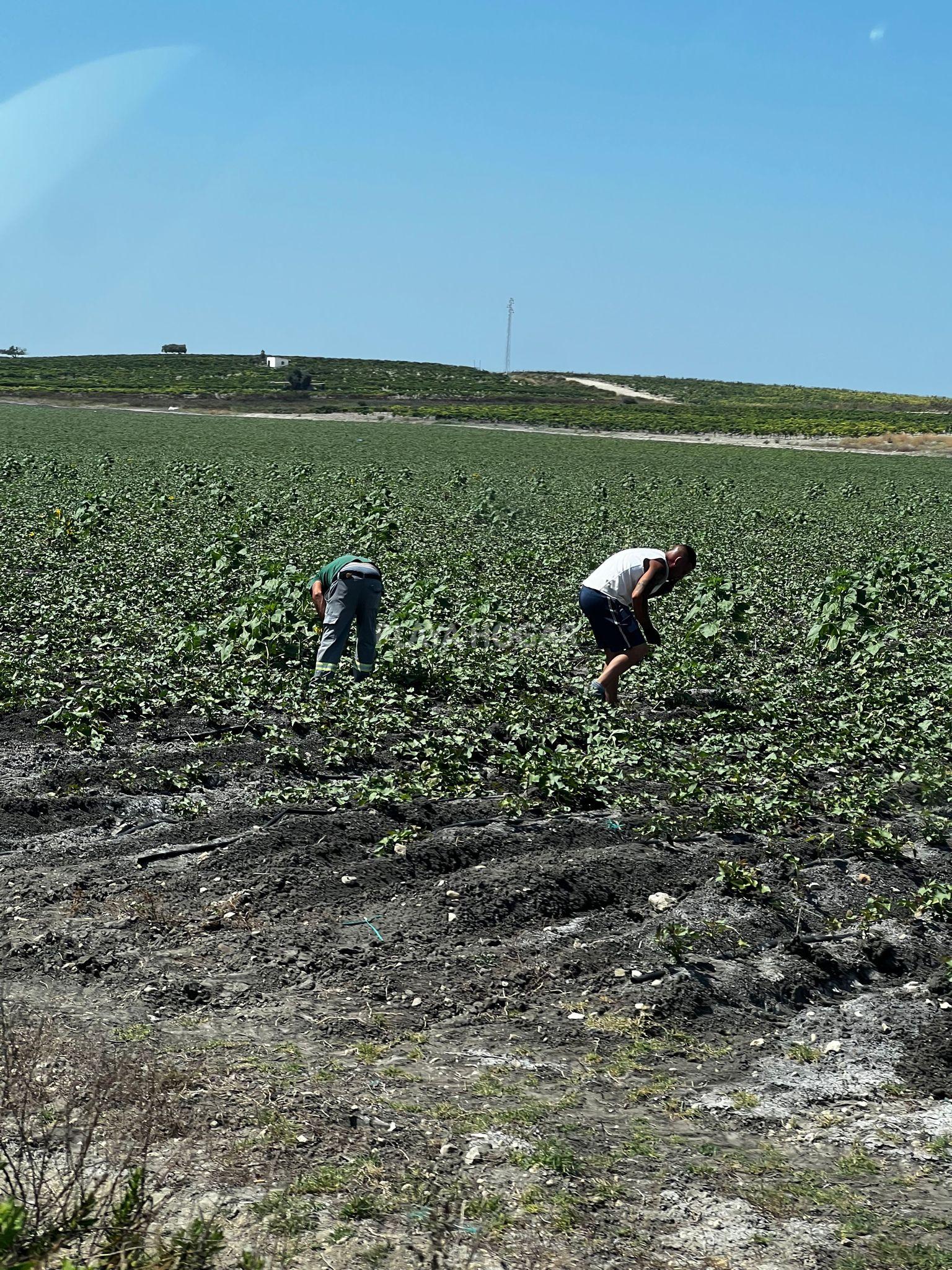 Venta de terreno en El Puerto de Santa María