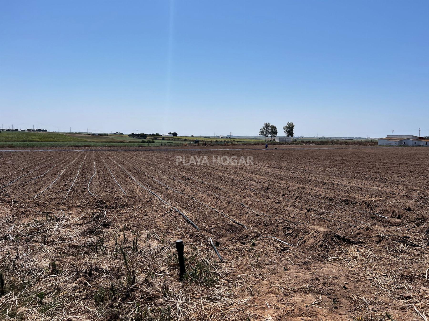 For sale of land in El Puerto de Santa María